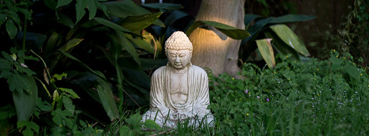 My Backyard Buddha, April 24, 2014
